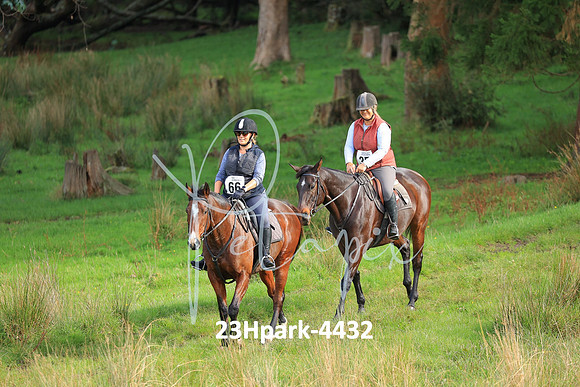 23Hpark-4432