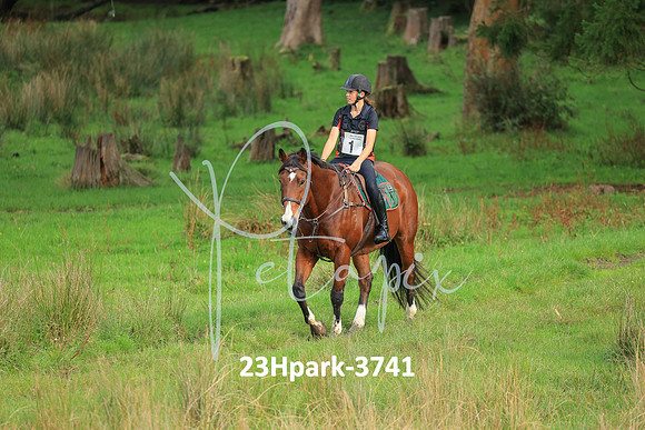 23Hpark-3741