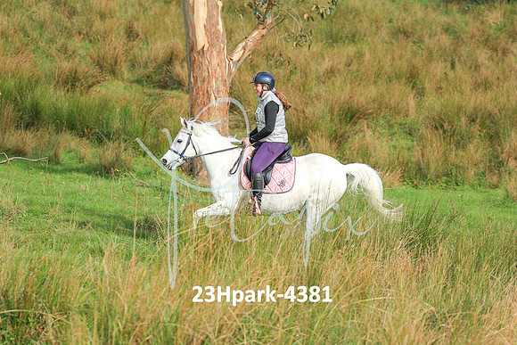 23Hpark-4381