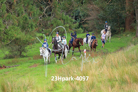 23Hpark-4097