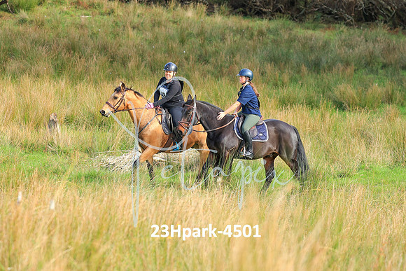 23Hpark-4501