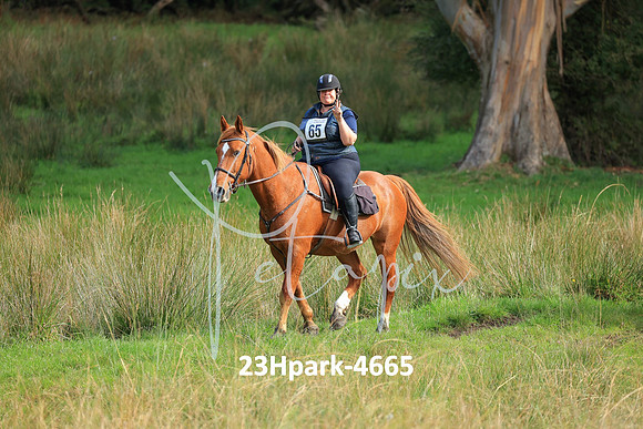 23Hpark-4665