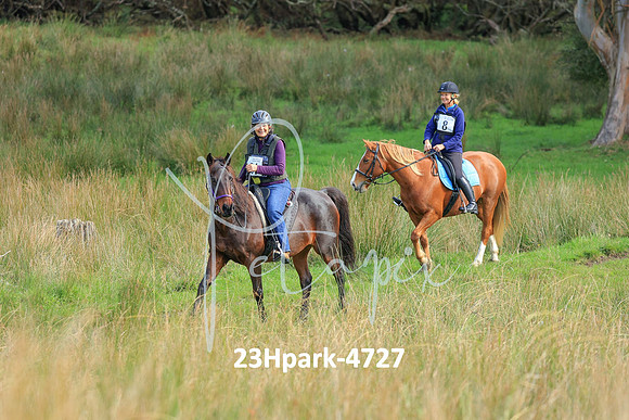 23Hpark-4727