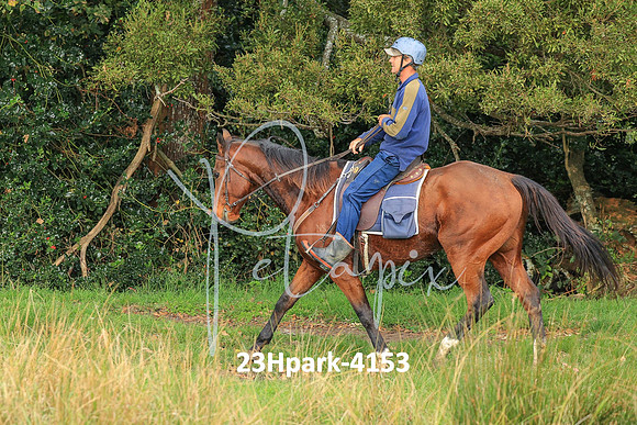 23Hpark-4153
