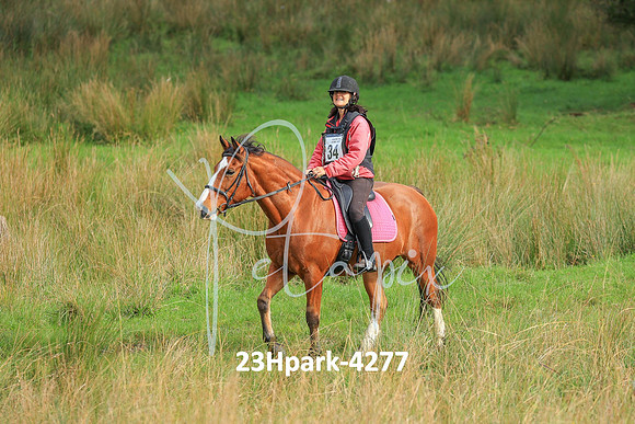 23Hpark-4277