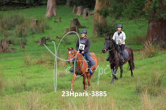 23Hpark-3885