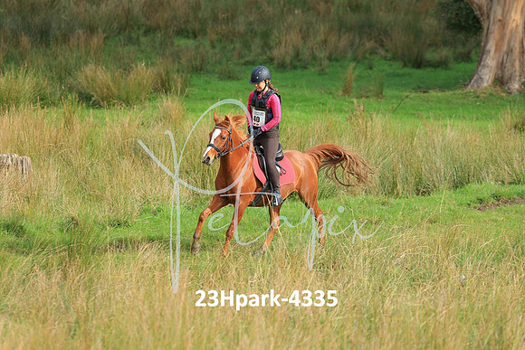 23Hpark-4335