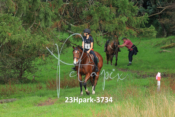 23Hpark-3734