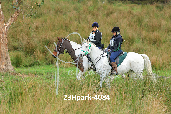 23Hpark-4084