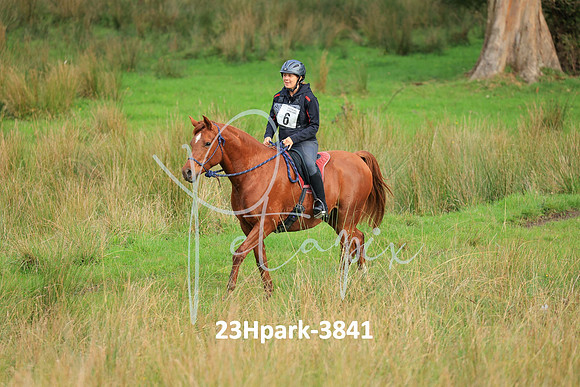 23Hpark-3841