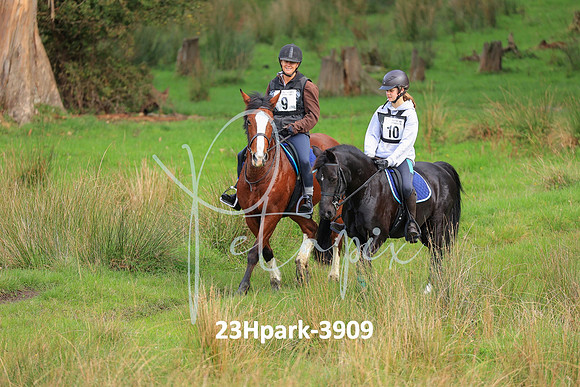 23Hpark-3909