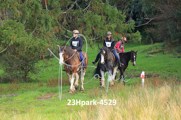 23Hpark-4529