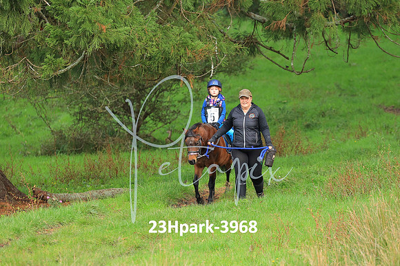 23Hpark-3968