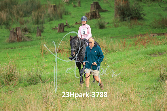 23Hpark-3788