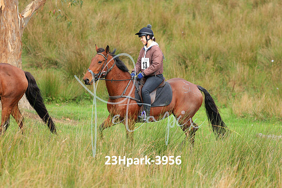 23Hpark-3956