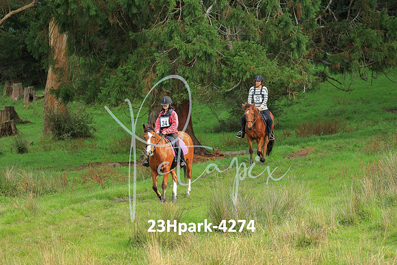 23Hpark-4274