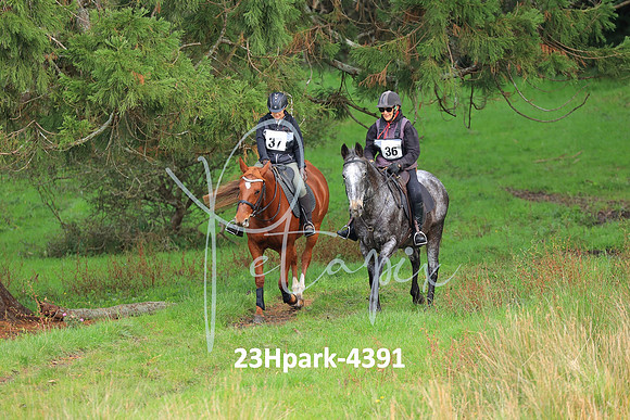 23Hpark-4391