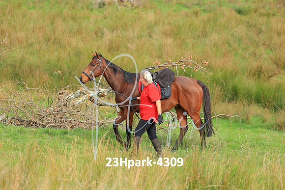 23Hpark-4309