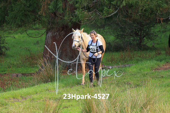 23Hpark-4527