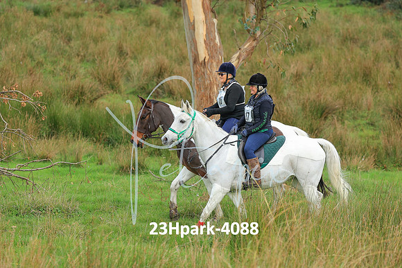 23Hpark-4088