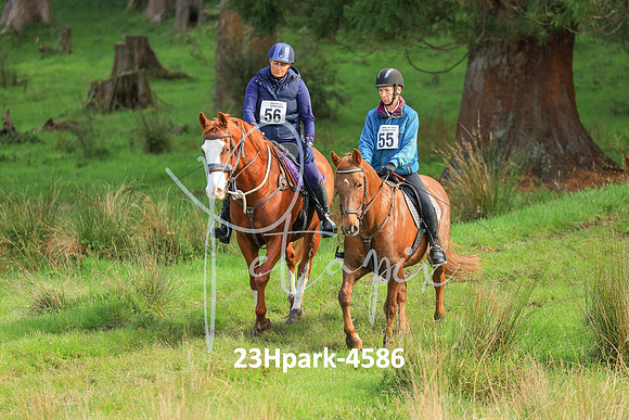 23Hpark-4586