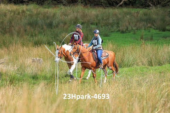 23Hpark-4693