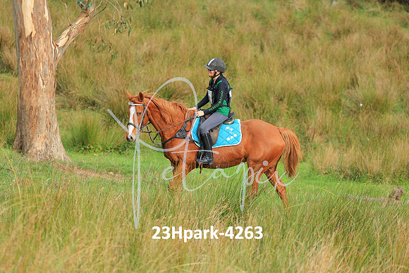 23Hpark-4263