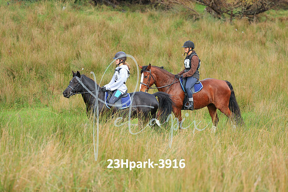 23Hpark-3916