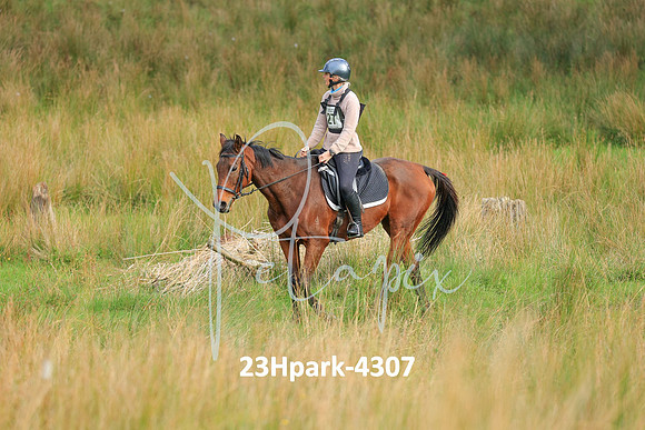 23Hpark-4307