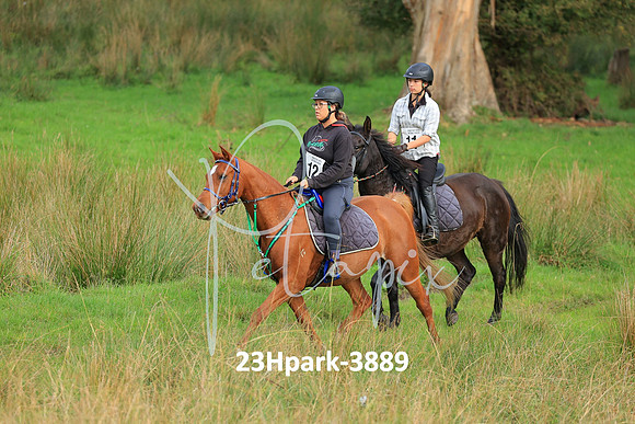 23Hpark-3889