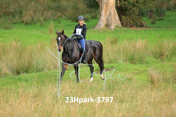 23Hpark-3797