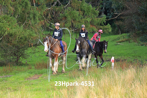 23Hpark-4531