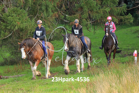 23Hpark-4536