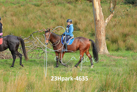 23Hpark-4635