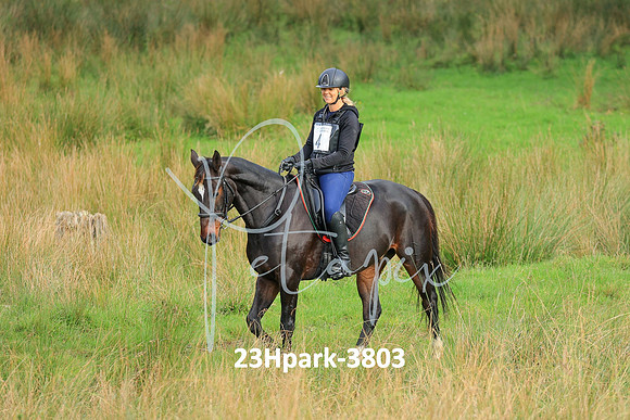 23Hpark-3803