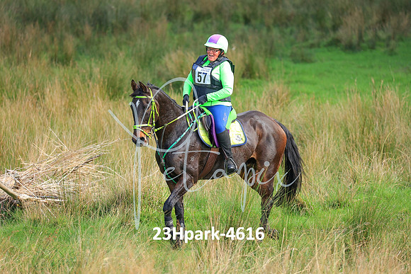23Hpark-4616