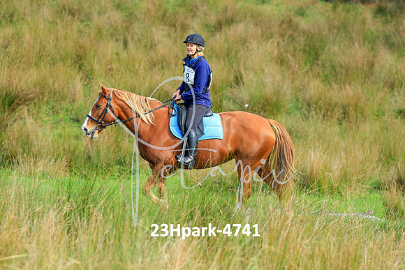 23Hpark-4741