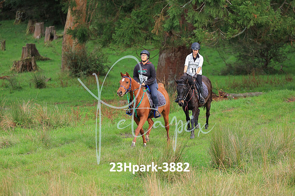 23Hpark-3882