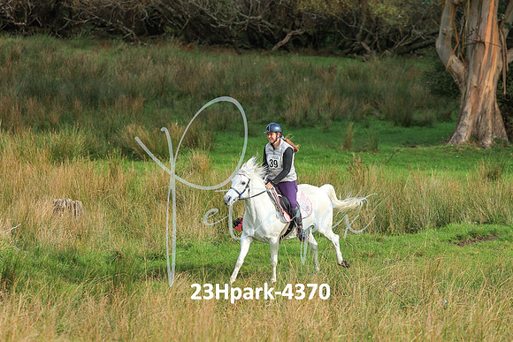 23Hpark-4370