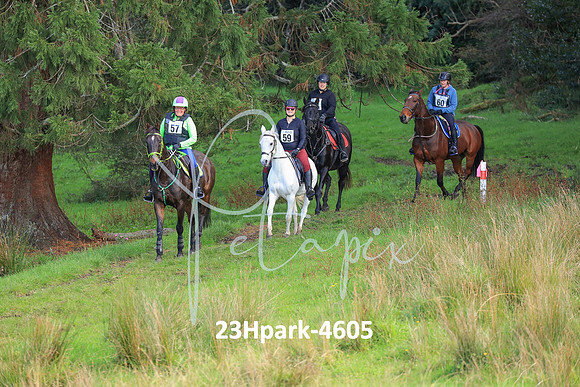 23Hpark-4605