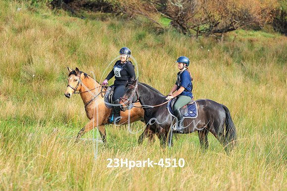 23Hpark-4510