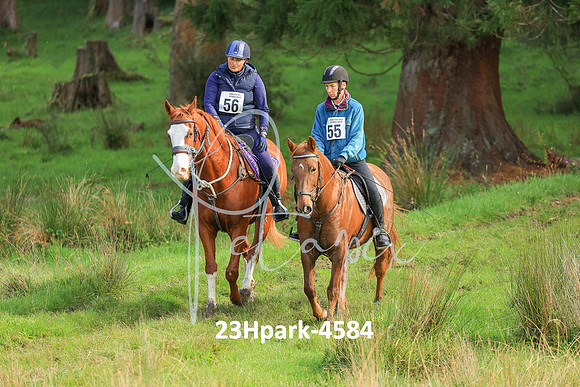 23Hpark-4584