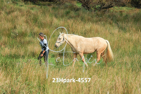 23Hpark-4557