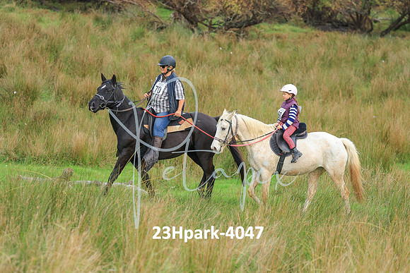 23Hpark-4047
