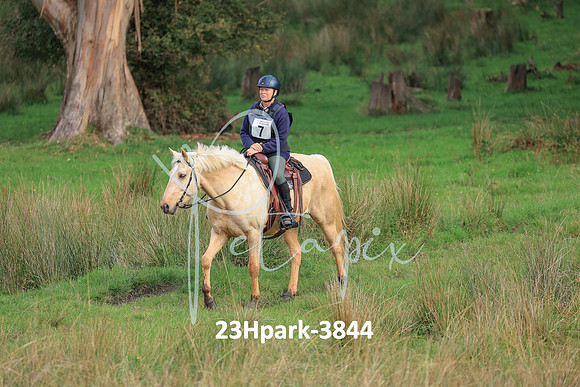 23Hpark-3844