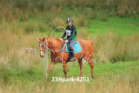 23Hpark-4251