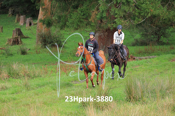 23Hpark-3880