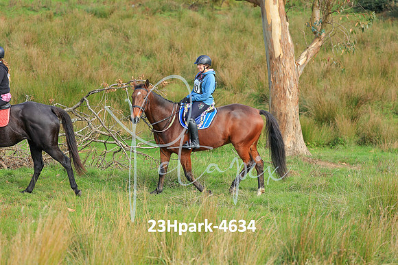23Hpark-4634