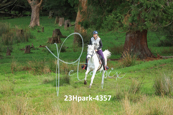 23Hpark-4357