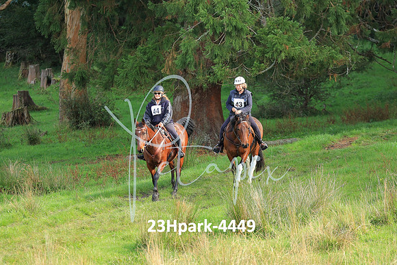 23Hpark-4449
